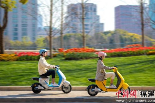 哈啰電動(dòng)車加速渠道擴(kuò)張 門店總量突破2000家，電動(dòng)自行車銷售迎增長(zhǎng)